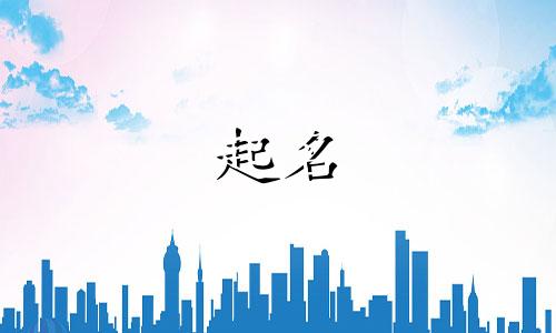 起名需要哪些资料和手续呢
