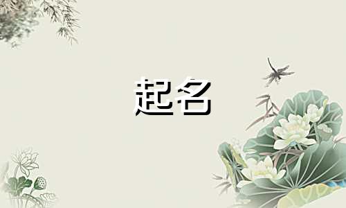 水的作品起名有哪些字体