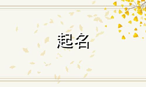 法律课堂起名字有哪些