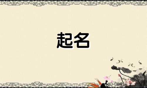 互联网起名方式有哪些