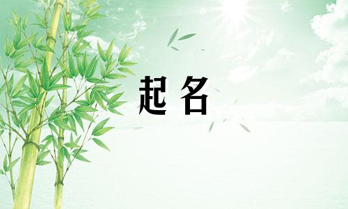 搞怪起名小程序有哪些