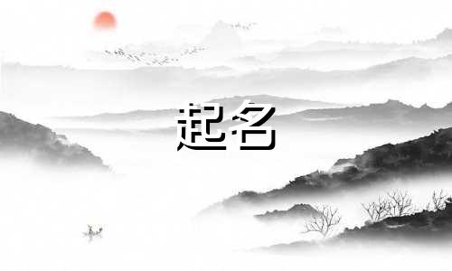 摄影起名软件有哪些好的