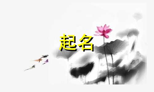 以榴莲起名的店铺有哪些