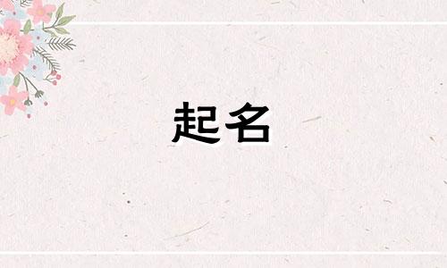 句子起名的品牌有哪些名字