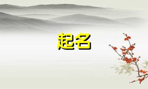 关于护理的起名有哪些英文