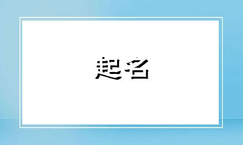 给公司起名的明星有哪些