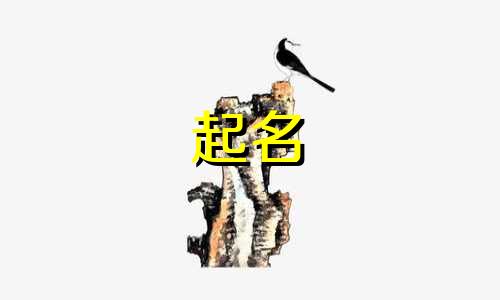 虎宝起名适用字有哪些
