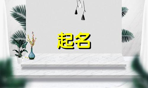 品牌工具起名字有哪些