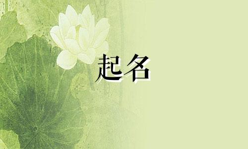 幼儿园区角有哪些起名