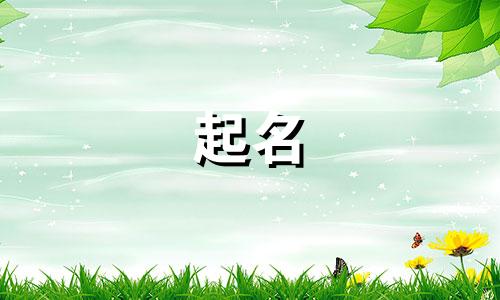 常用的起名字都有哪些