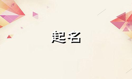 南皮给公司起名的有哪些
