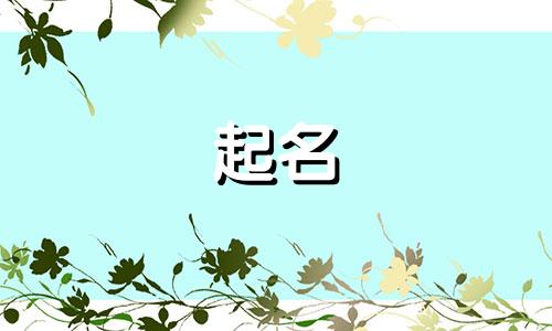 净水器公司起名有哪些