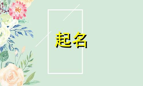 张芮起名子的都有哪些