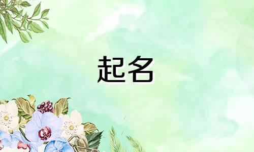 酒水公司起名的字有哪些