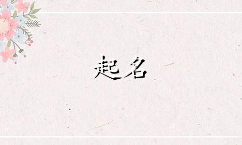 起名失误的品牌有哪些字