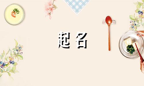 爆炒好听的名字有哪些起名