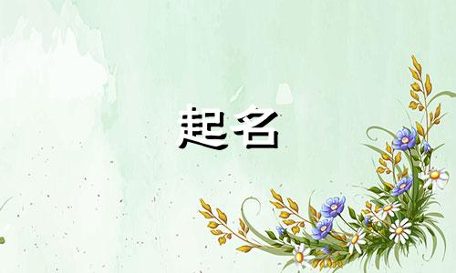 动物起名的代号有哪些字母