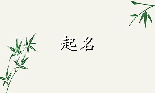 给儿子起名姓宋的人有哪些