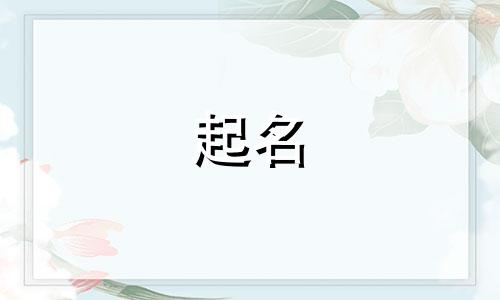 正规起名网站有哪些软件