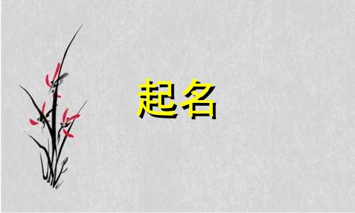 起名专用的字有哪些字体