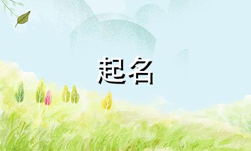 新疆企业起名网站有哪些