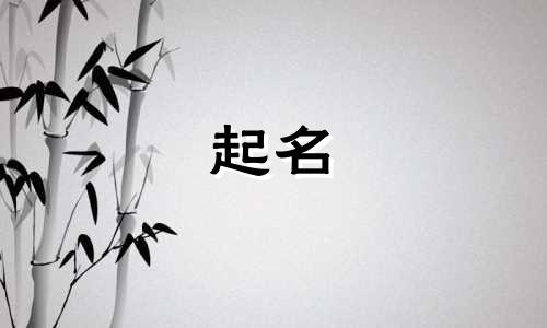 过年的诗词起名有哪些呢