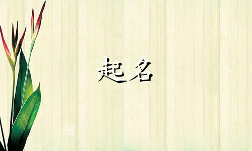 给宠物起名叠词有哪些字
