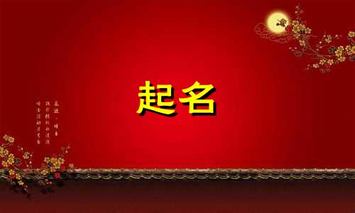 城堡起名网站有哪些名字