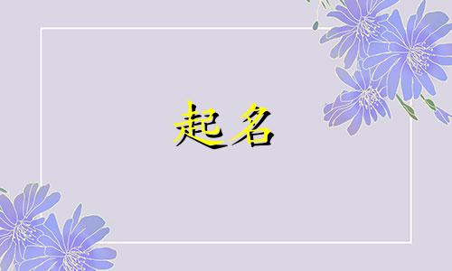 济宁找人起名的地方有哪些