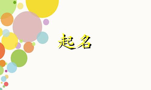 起名用的词库有哪些软件