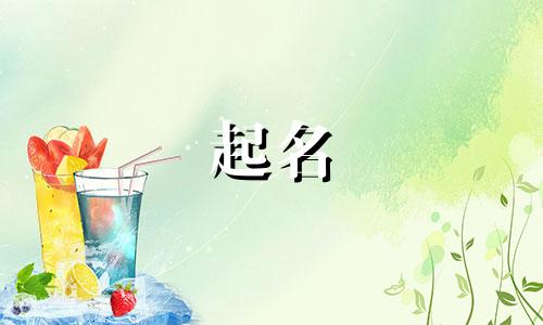 猫咪起名分类有哪些好听