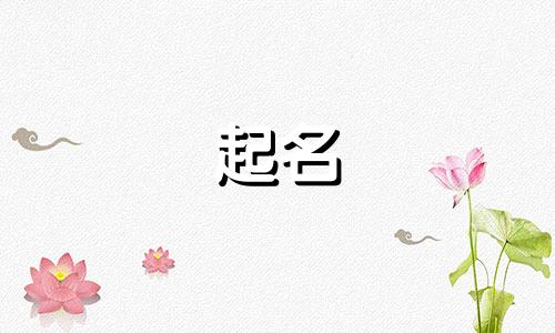 起名代表双的字有哪些