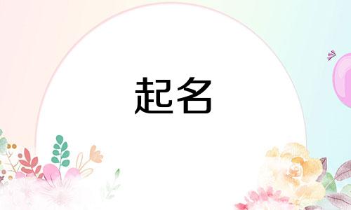 公司起名最好的字有哪些