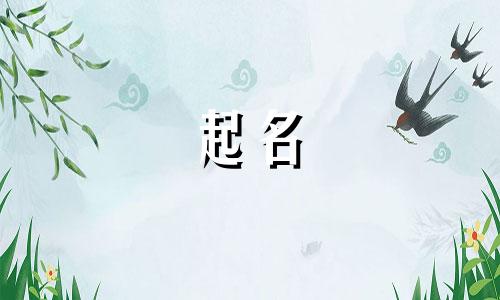 哪些内容不能用于公司起名