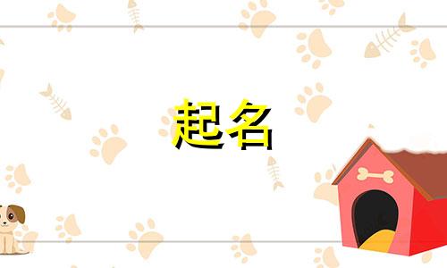 起名大师都是哪些人在直播