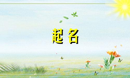 给小孩起名应该看哪些书