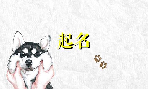 公司起名最好的网站有哪些