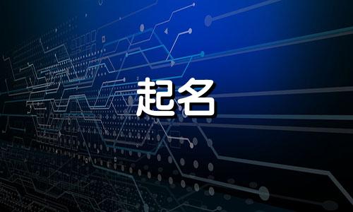 吉林市起名公司有哪些