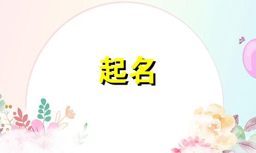 阳字建材名字有哪些起名