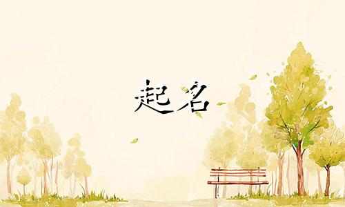 张起名男孩名字小名有哪些