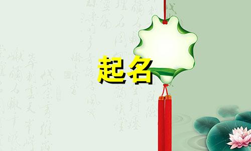 搜索不会起名的字有哪些