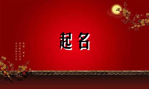 属牛的公司起名忌讳哪些