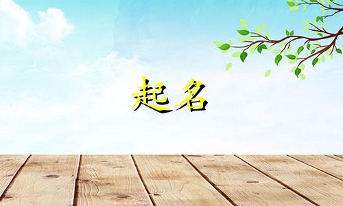 依据圣经起名的人有哪些