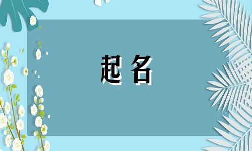 还未起名的新歌曲有哪些