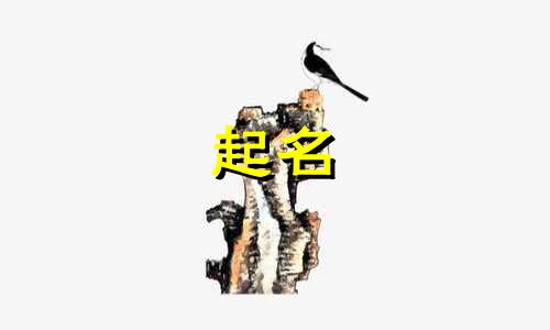 珠宝英语起名女孩名字有哪些