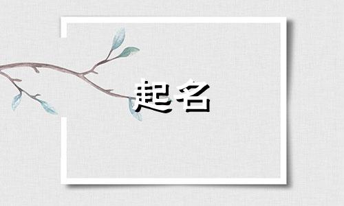 海南海口起名馆有哪些
