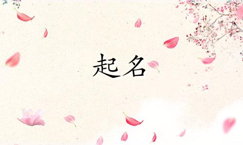 软件起名技巧有哪些方面
