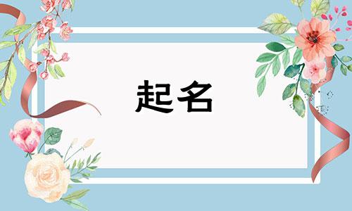 公司起名软件或网站有哪些