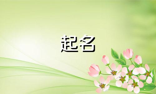 饮料起名搞笑用哪些字好听