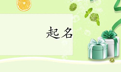 部队玩具起名字有哪些